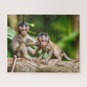 Baby Monkeys Jigsaw Puzzle