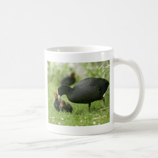 Baby Moorhens Kaffeetasse (Rechts)