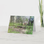 Baby Moose Birthday Karte<br><div class="desc">Spring scene of cow moose and baby in woods.</div>