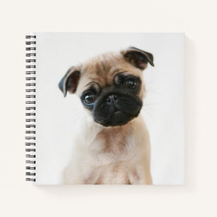 Baby Mops Portrait Notizbuch