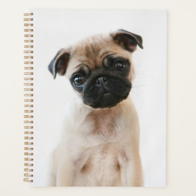 Baby Mops Portrait Planer (Vorderseite)