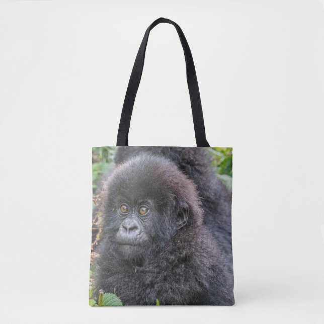 Baby Mountain Gorilla (Vorderseite)