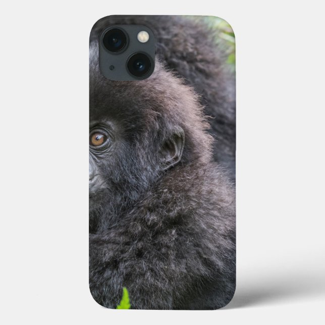 Baby Mountain Gorilla Case-Mate iPhone Hülle (Rückseite)