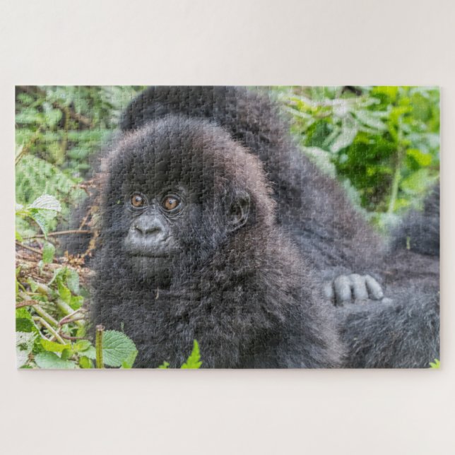 Baby Mountain Gorilla Puzzle (Horizontal)
