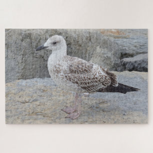 Baby-Möwe-Puzzle Puzzle