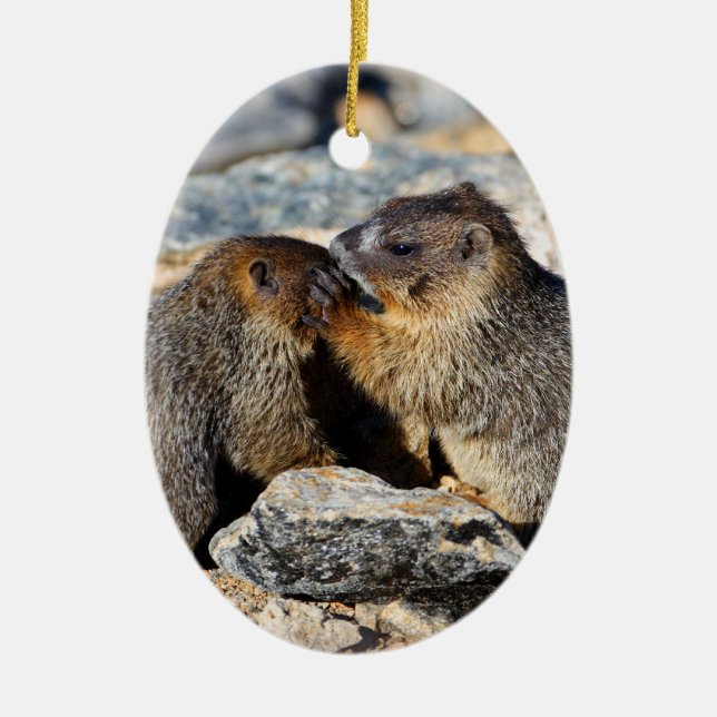 Baby-Murmeltiere Keramik Ornament (Vorne)