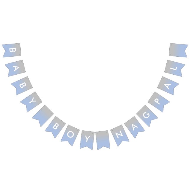 Baby Nagpal Ombre blaue und silberne Fahne Wimpelkette (Alle)