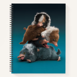 Baby NIFFLER™ Pile Notizbuch