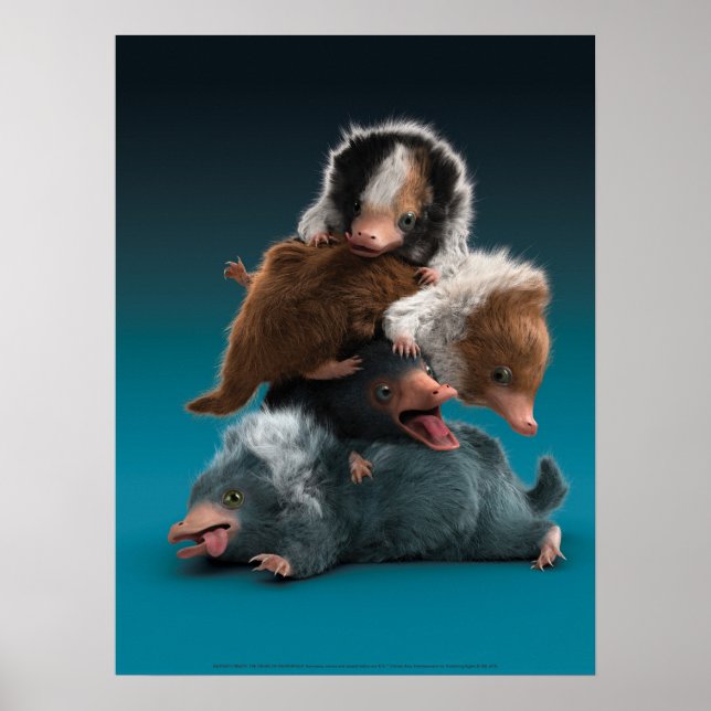 Baby NIFFLER™ Pile Poster (Vorne)