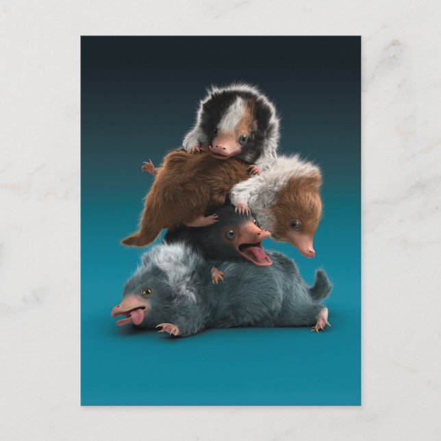 Baby NIFFLER™ Pile Postkarte (Vorderseite)