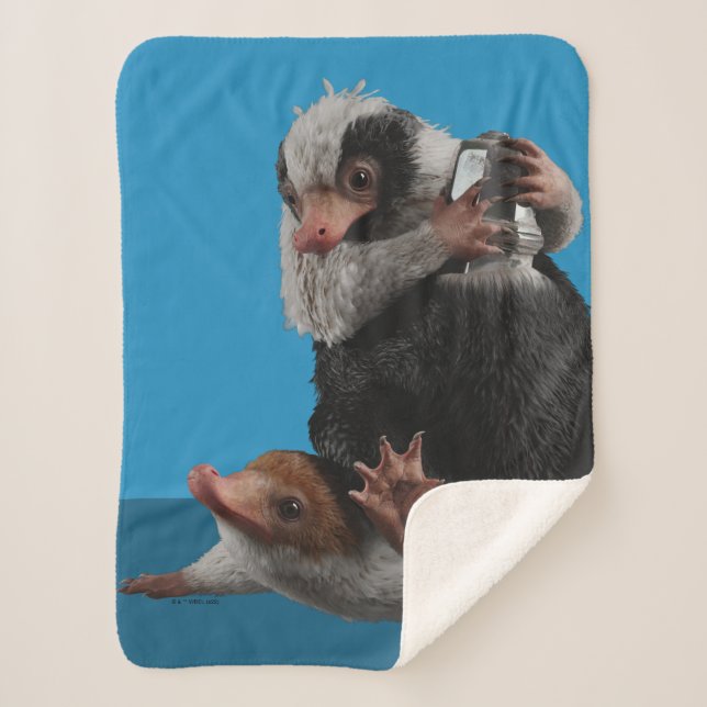 Baby Nifflers Find A Prize Sherpadecke (Vorderseite)