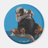 Baby Nifflers findet den Preis