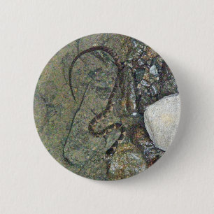Baby Northern Water Schlange (Nerodia sipedon) Art Button