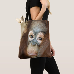 Baby-Orang-Utan