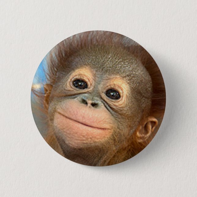 BABY-ORANG-UTAN KNOPF-BUTTON BUTTON (Vorderseite)