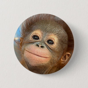 BABY-ORANG-UTAN KNOPF-BUTTON BUTTON