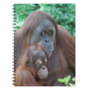 Baby-Orang-Utan mit Mutter-Notizbuch Notizblock