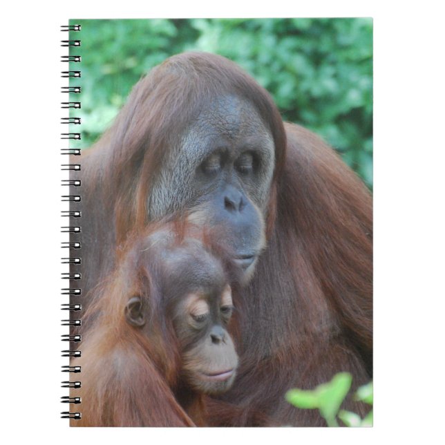 Baby-Orang-Utan mit Mutter-Notizbuch Notizblock (Vorderseite)
