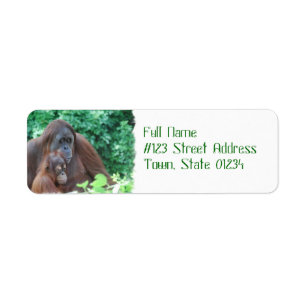 Baby-Orang-Utan mit Mutter-Postsendung-Aufklebern