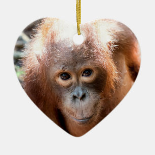 Baby-Orang-Utan Waise Kobe Keramikornament