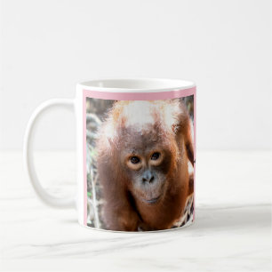 Baby-Orang-Utan Waise Kobe mit OFI Kaffeetasse