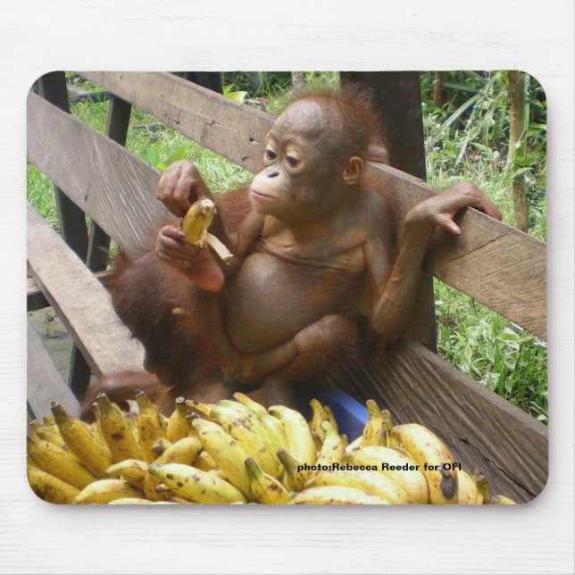 Baby Orangutan Banana Picnic Mousepad (Vorne)