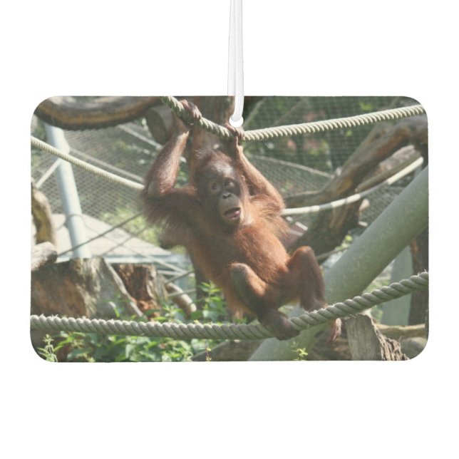 Baby Orangutan - Hang da drin Autolufterfrischer (Vorderseite)