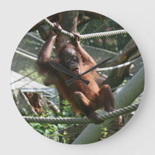 Baby Orangutan - Hang da drin Große Wanduhr