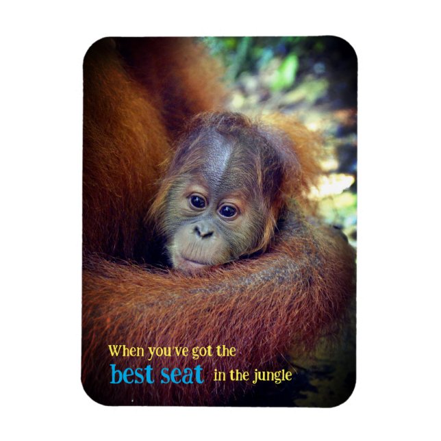 Baby Orangutan Magnet (Vertikal)