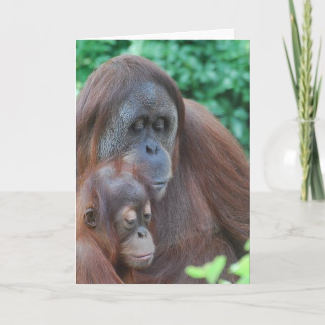 Baby Orangutan mit Muttergrüßkarte Karte (Vorderseite)