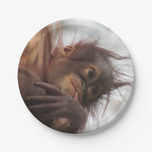Baby Orangutan Paper Tellers Pappteller