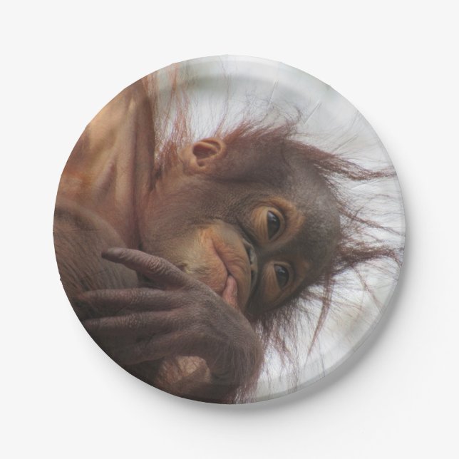 Baby Orangutan Paper Tellers Pappteller (Vorderseite)