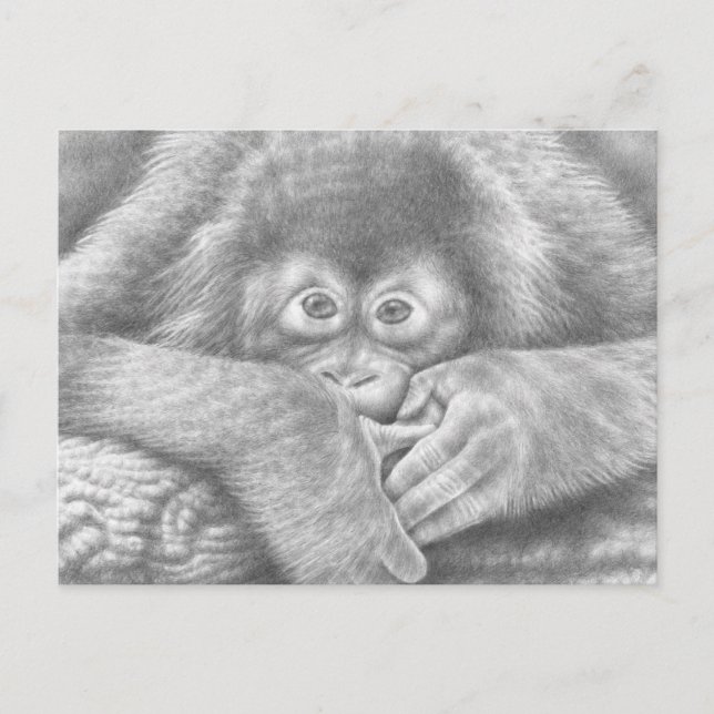 Baby Orangutan Postcard Postkarte (Vorderseite)