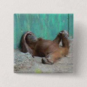 Baby orangutang Stillstehen Button