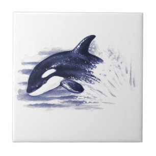 Baby Orca Jump Fliese