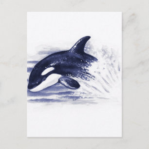 Baby Orca Jump Postkarte