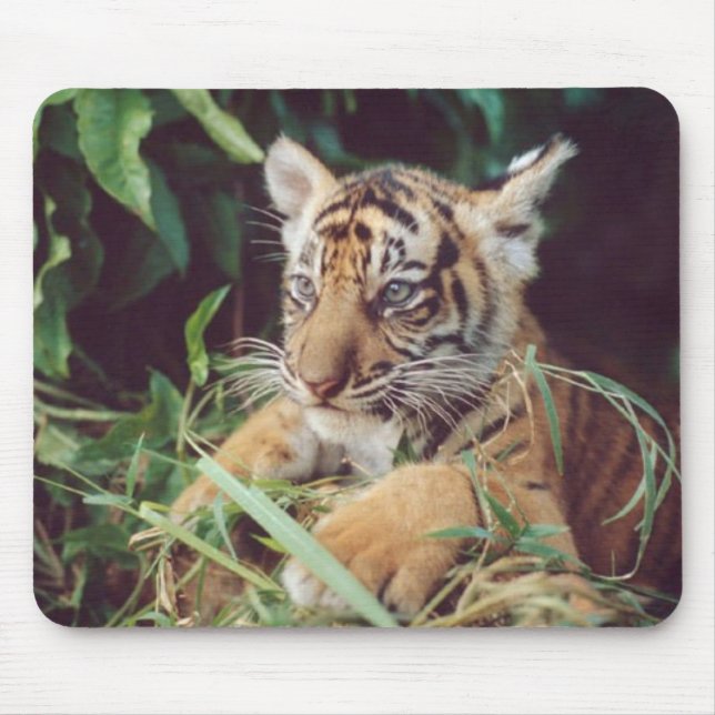Baby Oselote Mousepad (Vorne)