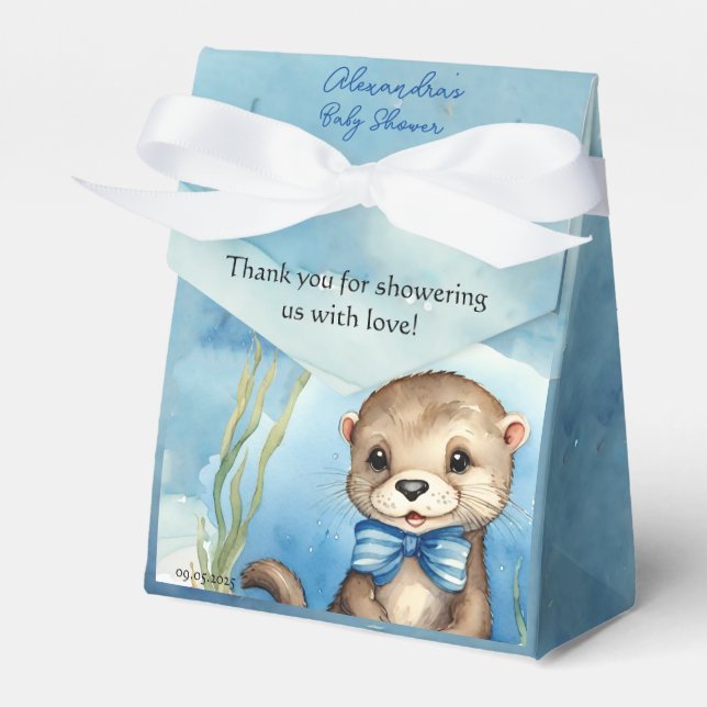 Baby Otter Boy Baby Dusche Geschenkschachtel (Vorderseite)