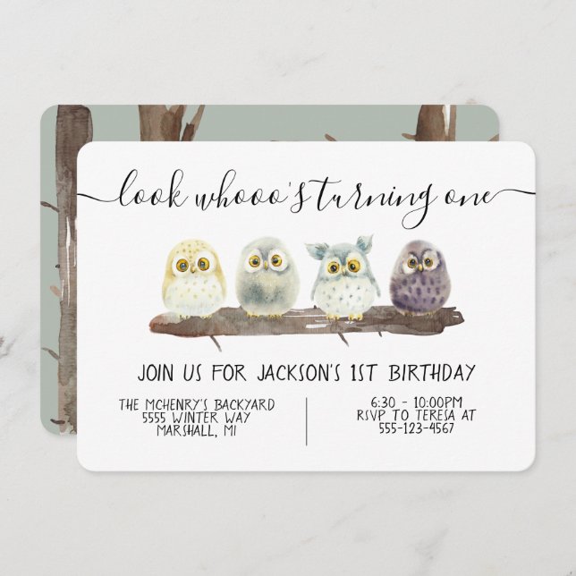 Baby Owl Geburtstagsparty Einladung (Vorne/Hinten)