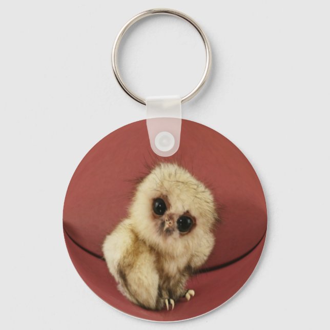 Baby Owl Schlüsselanhänger (Vorderseite)