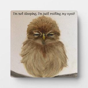 Baby Owl Sleeping Plaque Easel Fotoplatte