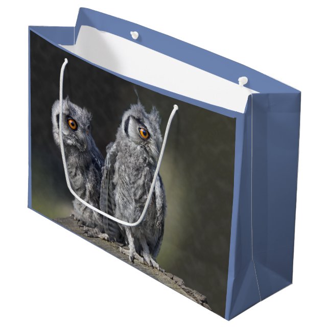 Baby Owls Geschenktasche Große Geschenktüte (Vorderseite Schrägansicht)