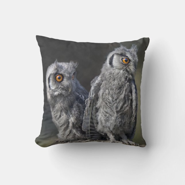 Baby Owls Pillow Kissen (Vorderseite)