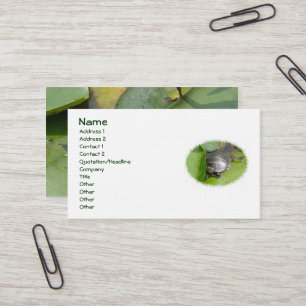 Baby Painted Turtle on Lilypad Business Card Visitenkarte