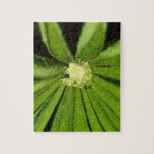 Baby Palm Pflanze von Shirley Taylor Puzzle