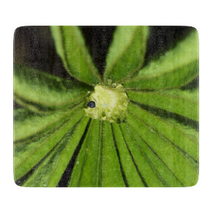 Baby Palm Pflanze von Shirley Taylor Schneidebrett