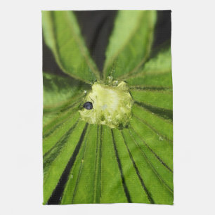 Baby Palm Plant by Shirley Taylor Geschirrtuch