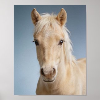 Baby Palomino Pony Porträt – Süßes Kinderzimmer Ti Poster