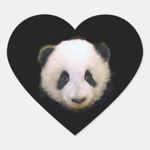 Baby Panda Heart Sticker