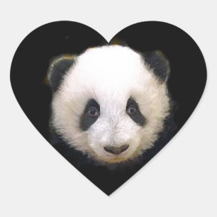Baby Panda Herz-Aufkleber